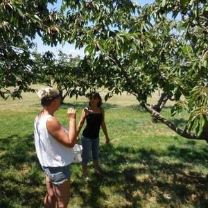 Meet your Posher, Linda